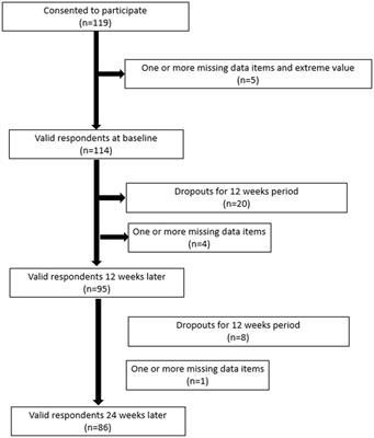 The feasibility and effectiveness of remote cognitive training on cognitive function and work performance in workers